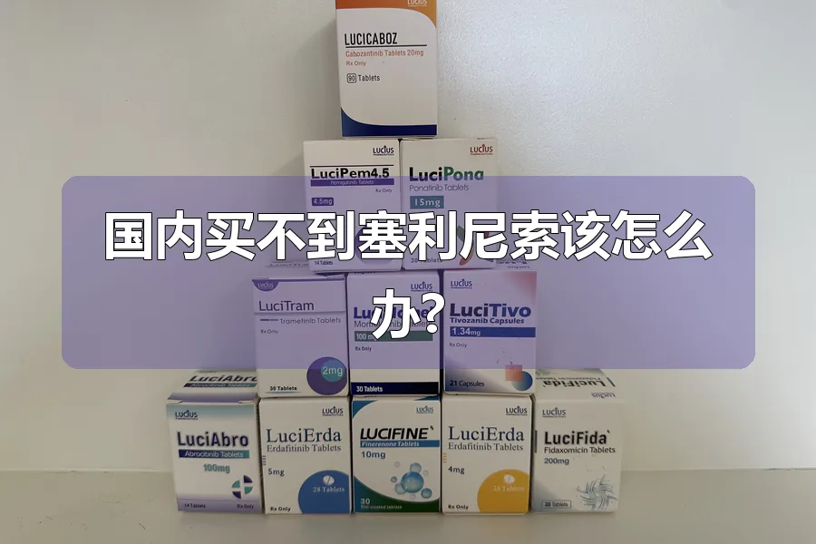 国内买不到塞利尼索该怎么办?