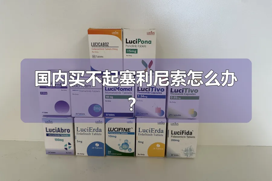 国内买不起塞利尼索怎么办?